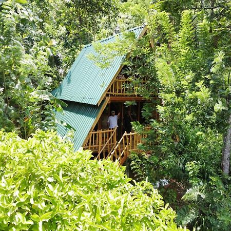 Eco Village Ella Exterior foto