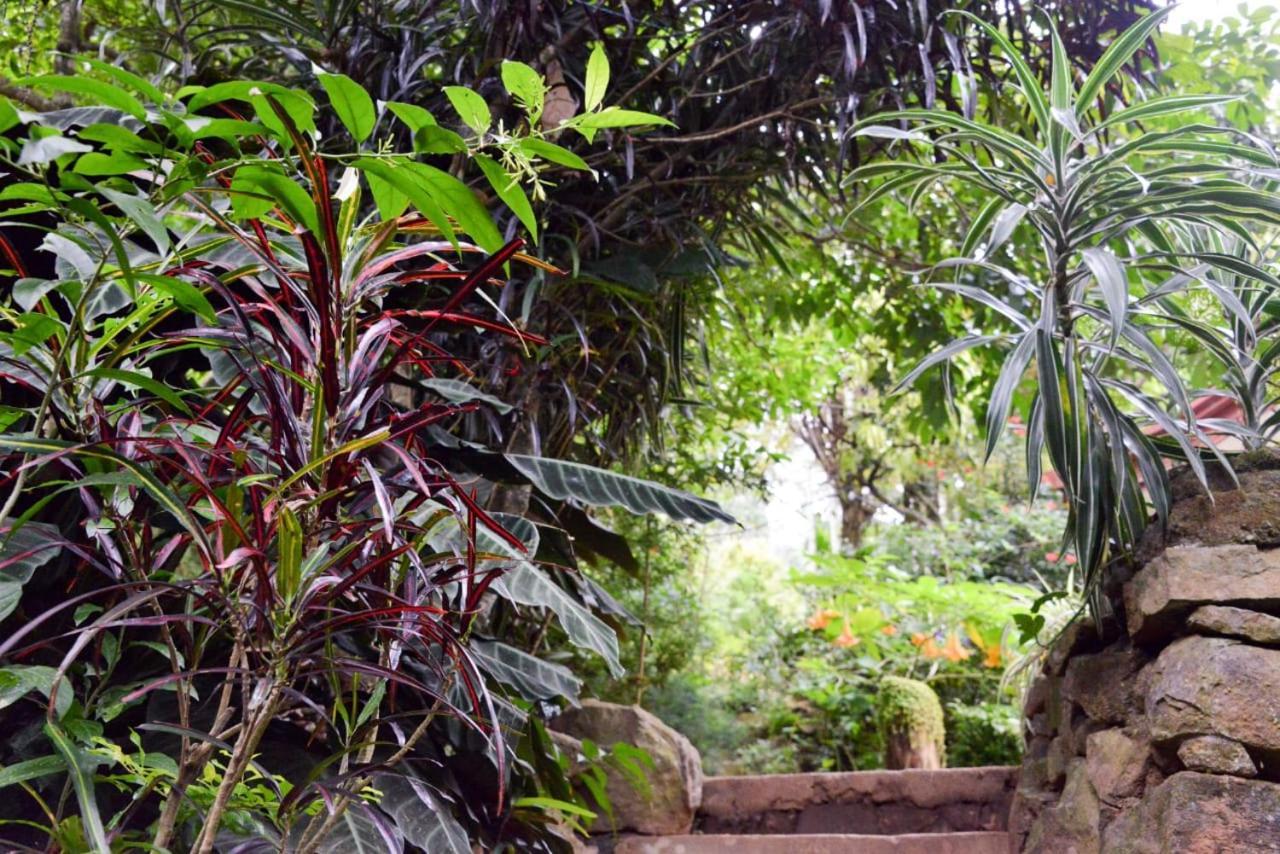 Eco Village Ella Exterior foto